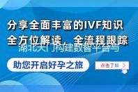 湖北天门构建数智平台与海外仓赋能服装产业出海